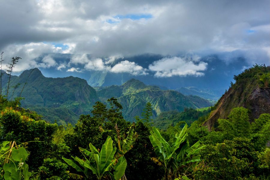 Finding Your Ideal Ride for an Unforgettable Réunion Adventure