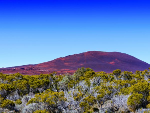 Experiencing Réunion's Piton de la Fournaise and Stunning Cirques